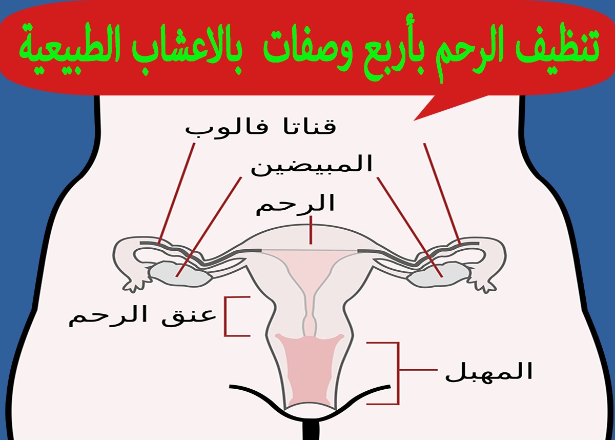 خلطه للاجهاض السريع - وصفات وخلطات 2308