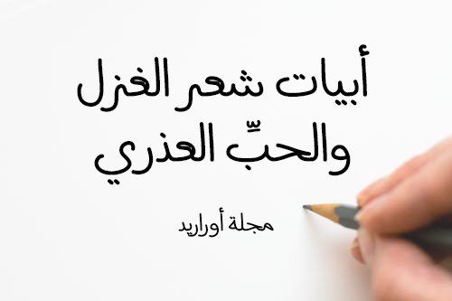 شرح قصيدة ولد الهدى 11880 1