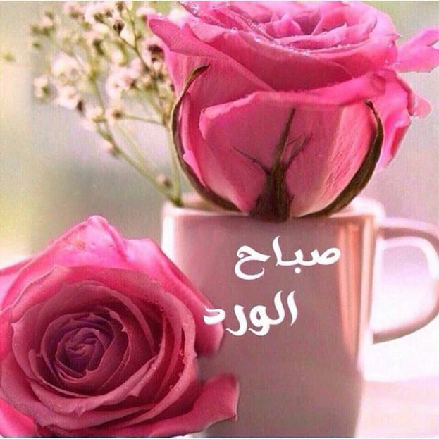 صورصباح الخير جديده - احدث صور صباح الخير 2019 4522 7