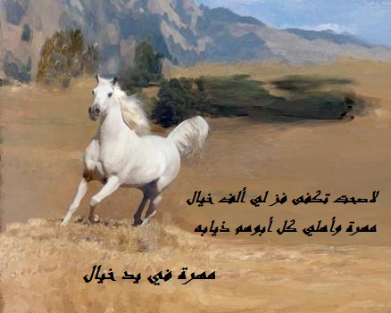 شعر عن الخيل 1485