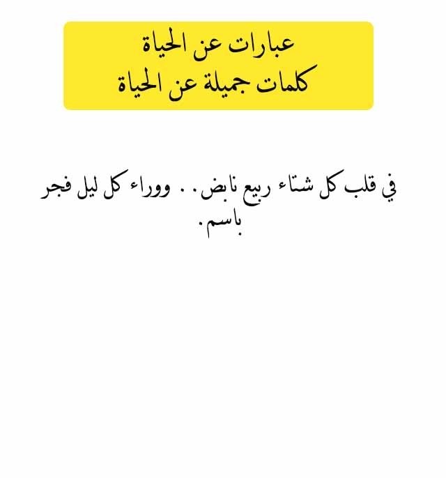 عبارات جميلة عن الحياة , مجموعه صور فى وصف الحياه