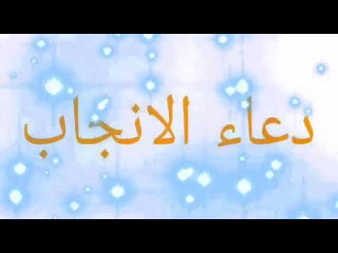 دعاء الانجاب - افضل دعاء للرزق والانجاب 3082 2