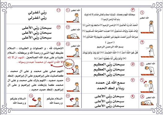 طريقة الصلاة الصحيحة بالصور , علم ابنائك واهلك واحبابك الطريقة الصحيحة لصلاة