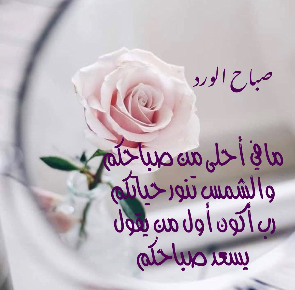 صباح البركة 5433 5