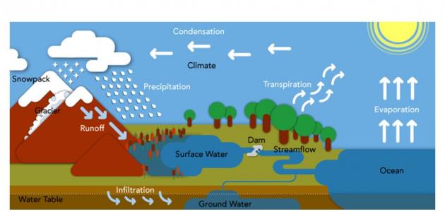 بحث عن دورة الماء - شرح لدورة الماء وطبيعتها 12026 1