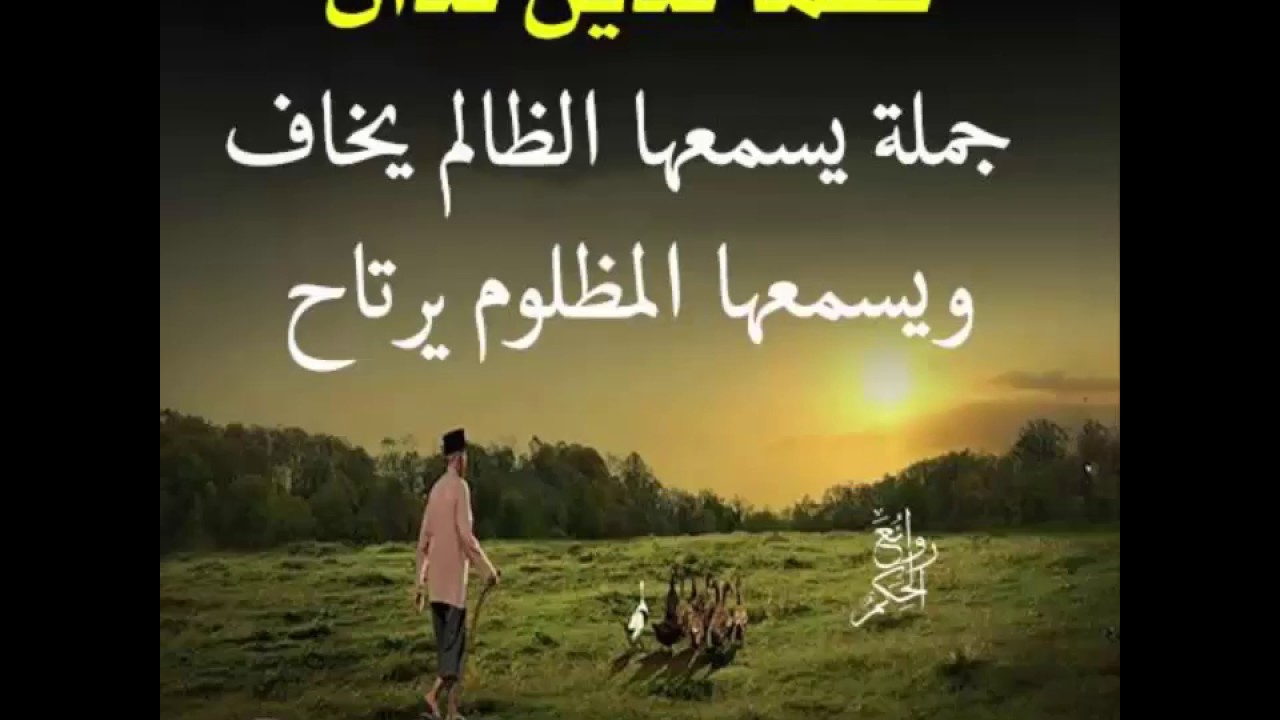 حكم من ذهب 3564 2