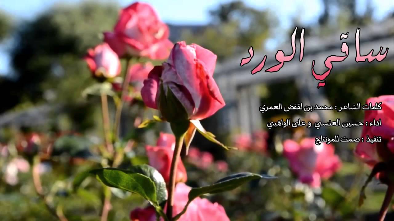 كلمات عن الورد - عبارات تفوح بالعطور 6561