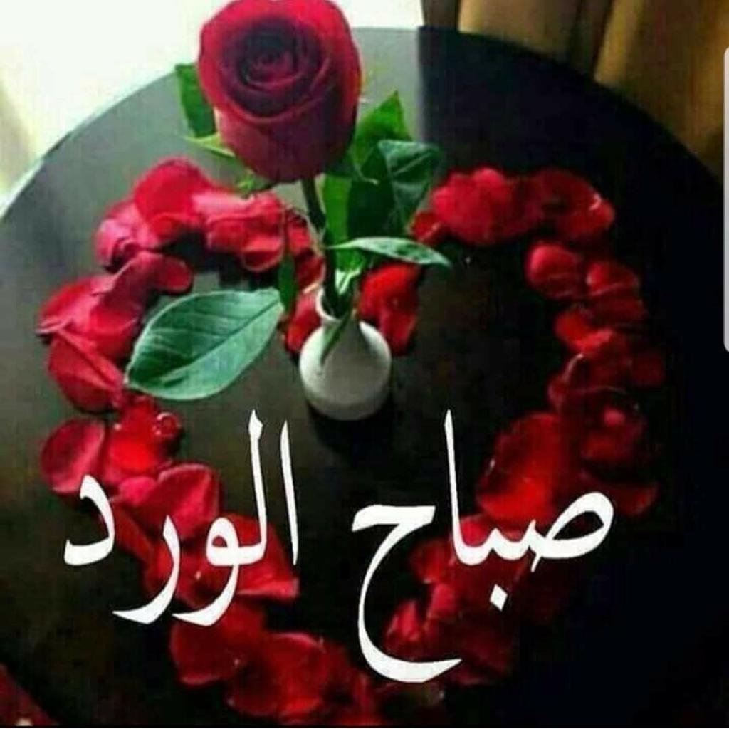 صباح الورد للورد 3517 1