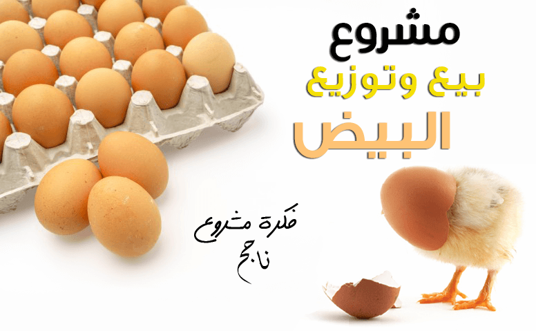 فكرة مشروع جديد - احلي افكار لمشاريع جديدة مربحة 4322 2