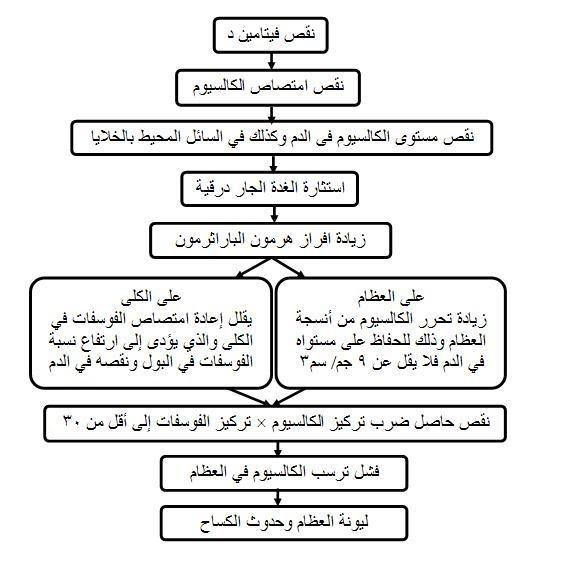 اعراض نقص فيتامين د عند النساء , تاثر النساء بنقص فيتامين د