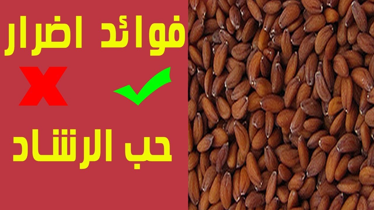 فوائد حب الرشاد