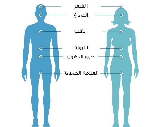 جسم الرجل و المراه , الفرق بين جسم الرجل و جسم المراه