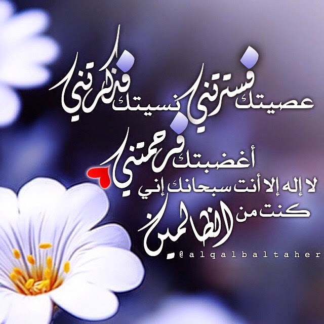 صور عرض للواتس - حالات واتس اب 3392 7