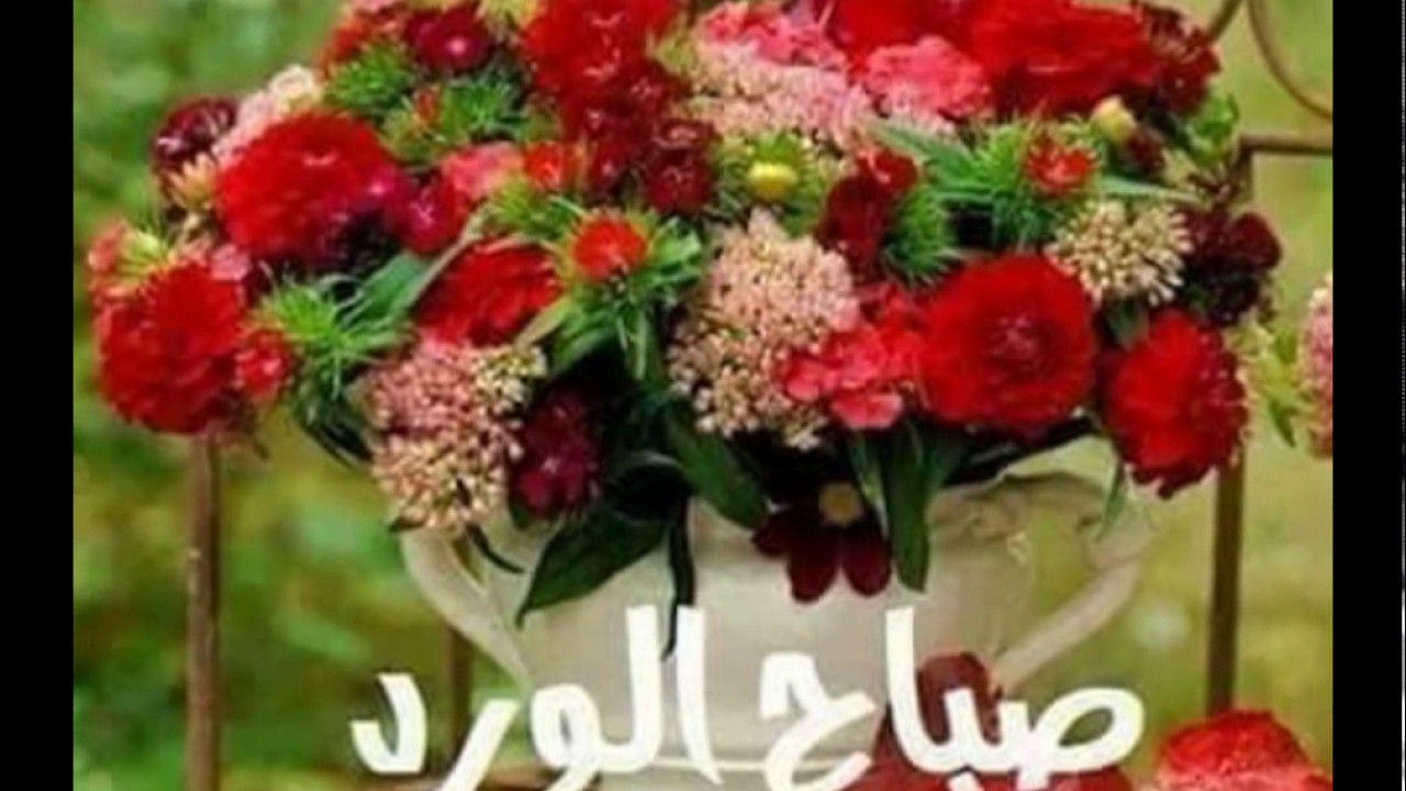 صور الصباح والمساء - اجمل الصور المعبرة عن الصباح والمساء 6324 12