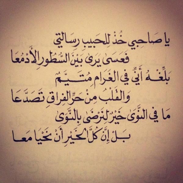 شعر عن الخيل 1485 1