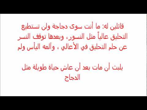 حكاية قصيرة , اجمل حكاية