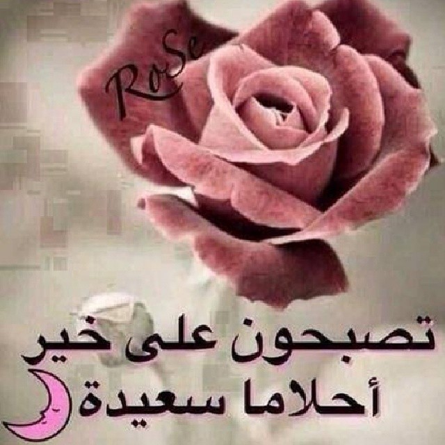 برودكاست تصبحون على خير - ارق البرودكاست قبل النوم 6340 1