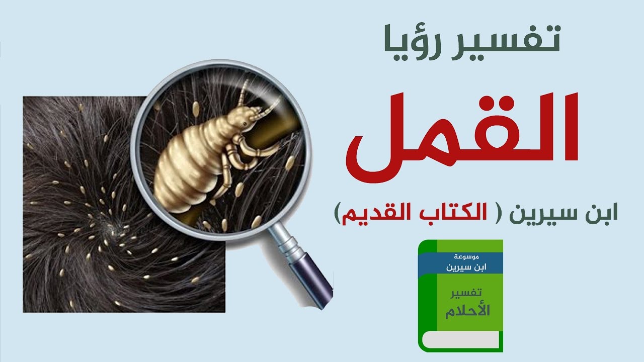 تفسير حلم القمل - تفسيرات حول الحلم بالقمل 821 1