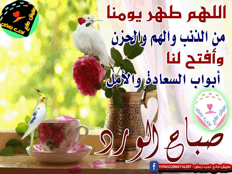 صور صباحالخير - اجمل اشكال الصباحات السعيدة 1842 4