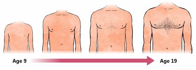 البلوغ عند الذكور بالصور , بالصور عرض مراحل بلوغ الصبي