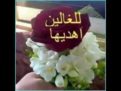 صباح العسل - احلي صور 2415 7