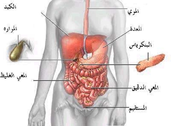 علاج تهيج المعدة 11090 1