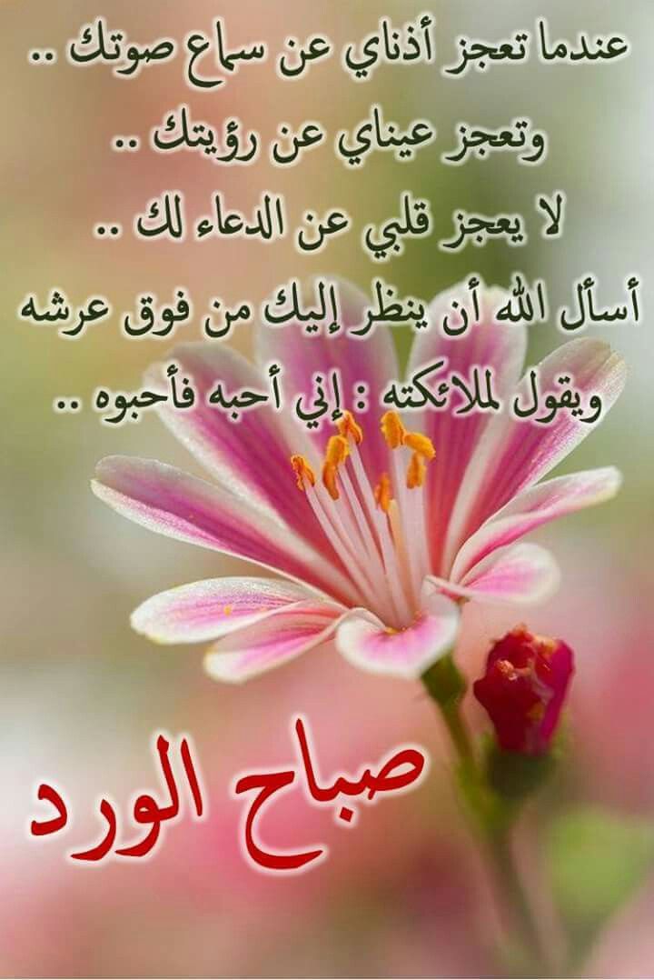 رسائل حب صباحية - اجمل رسالة حب للصباح 4430 5