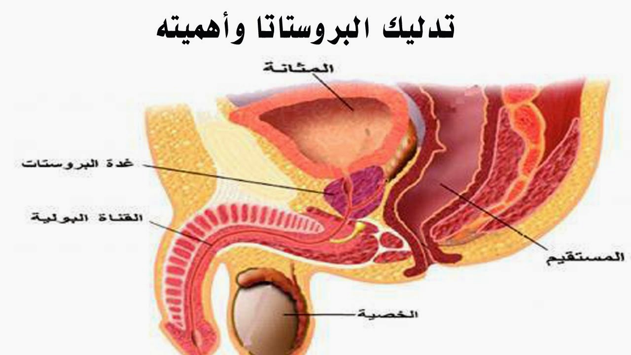 اسباب تضخم البروستاتا 2029 2