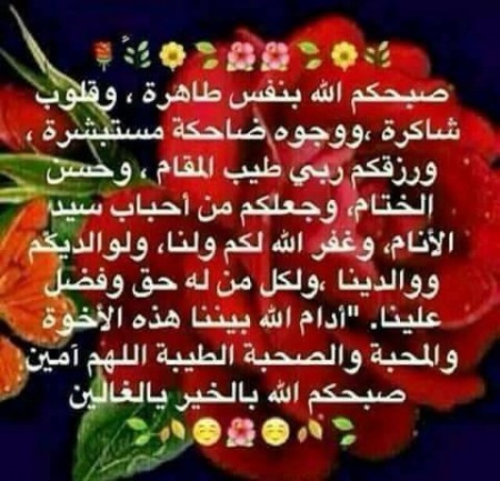 احلى صور صباح الخير - اروع صور 2323 5