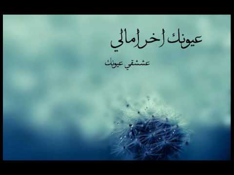 كلمات عيونك اخر امالي - اغنية عيونك اخر امالي 2495 2