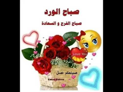 صور صباح الورد - الورد وجمالة من احلى شىء 3831 7