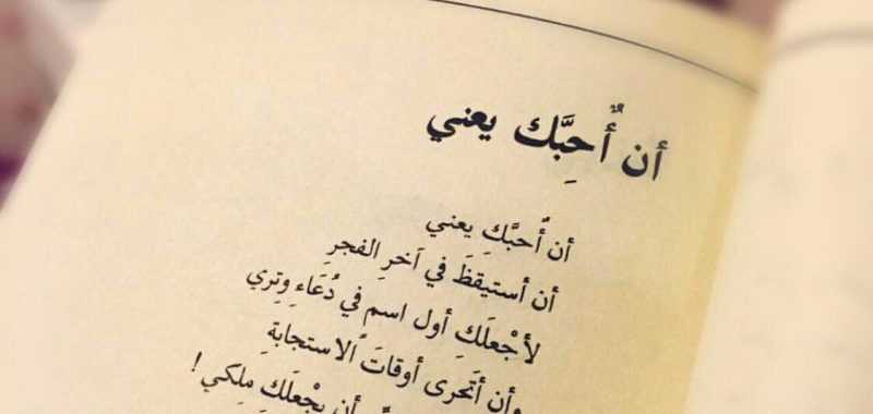 شعر عن الخيل 1485 3