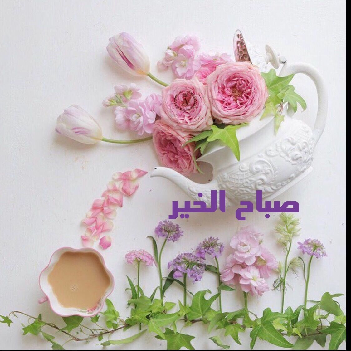 اجمل صباحيات تحفة، صورصباح الخير 5721 9