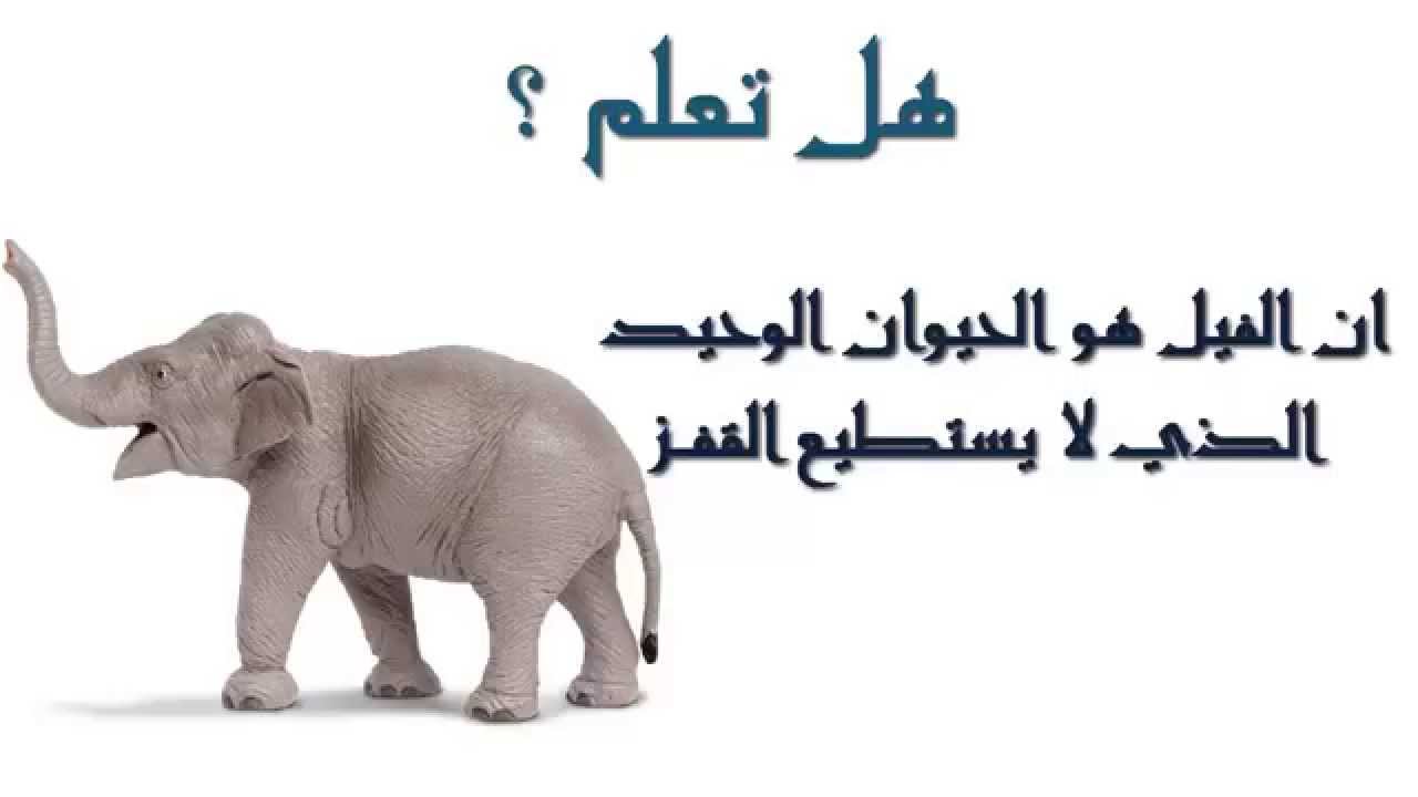 هل تعلم مضحك - اضحك من قلبك 6646 5