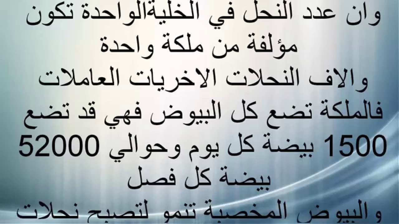 صدق يالدنيا غريبه 3734 5