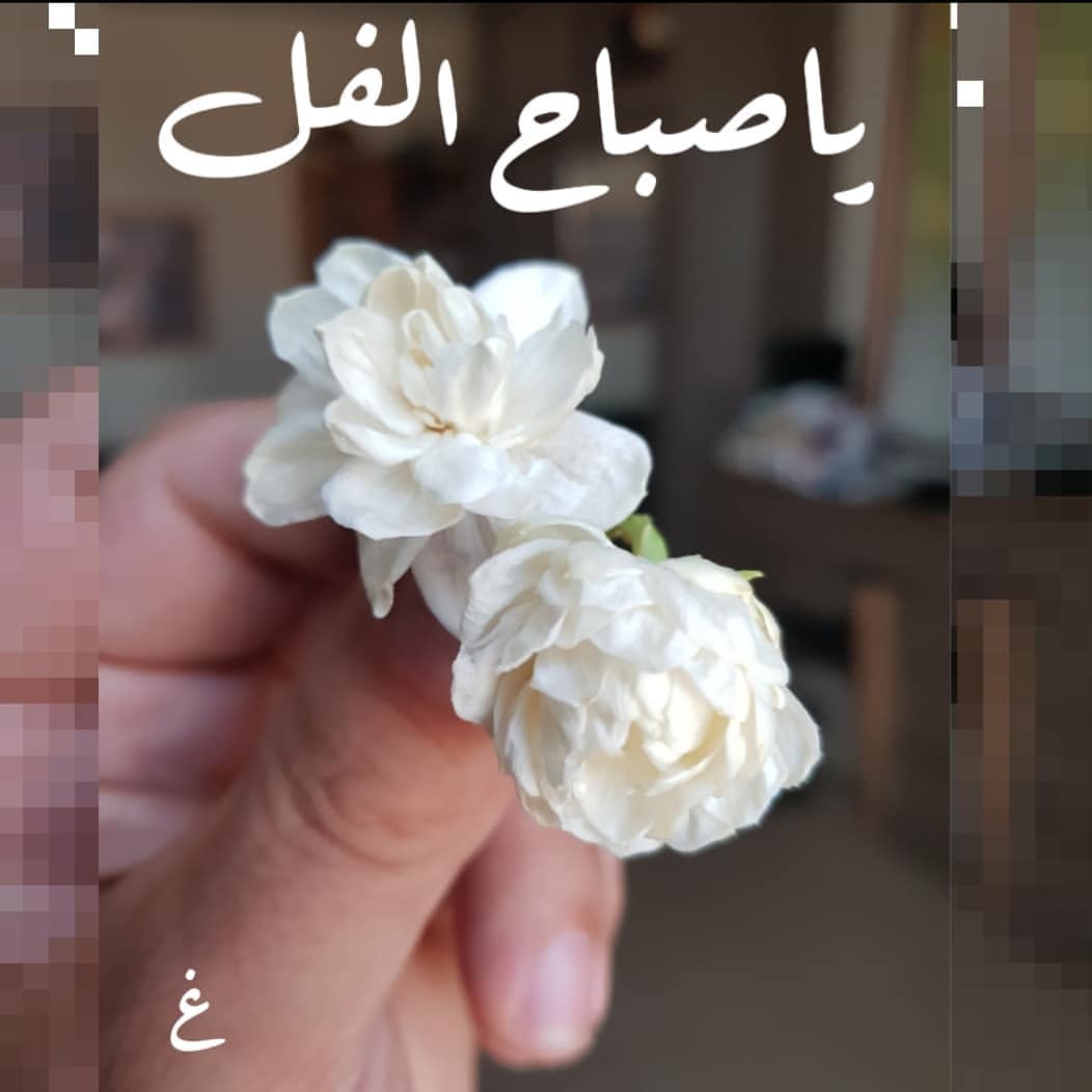 اجمل صور صباح الخير 3527 6