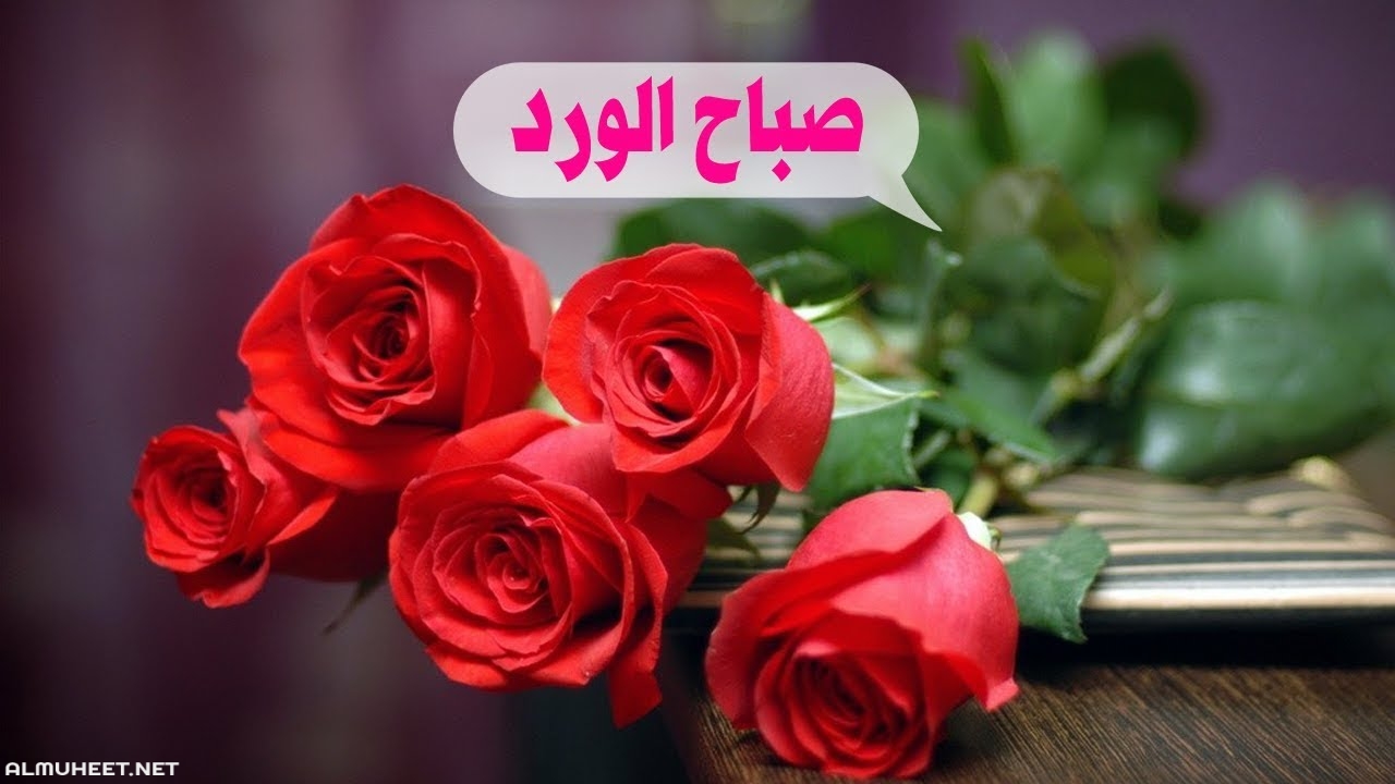 صباح الورد للورد 3517 3