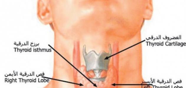 مرض الغدة الدرقية , مشاكل الغده الدرقيه واعراضها