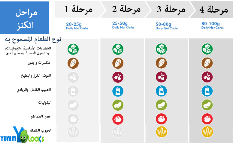 حمية اتكنز - مراحل رجيم اتجنز وتجاربة بالتفصيل اكثر من رائع 2203 1