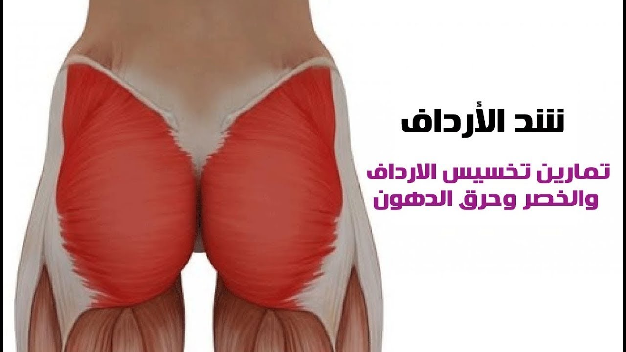 خلفيات حلوة 3542 1