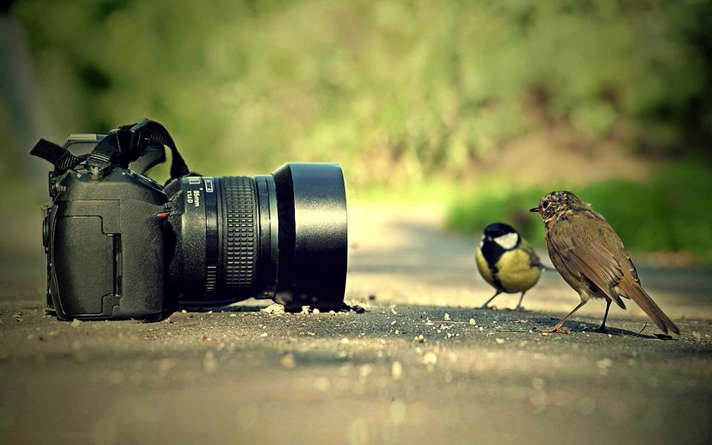 تصوير احترافي - اسرار النجاح فى التصوير الاحترافى 3877 1