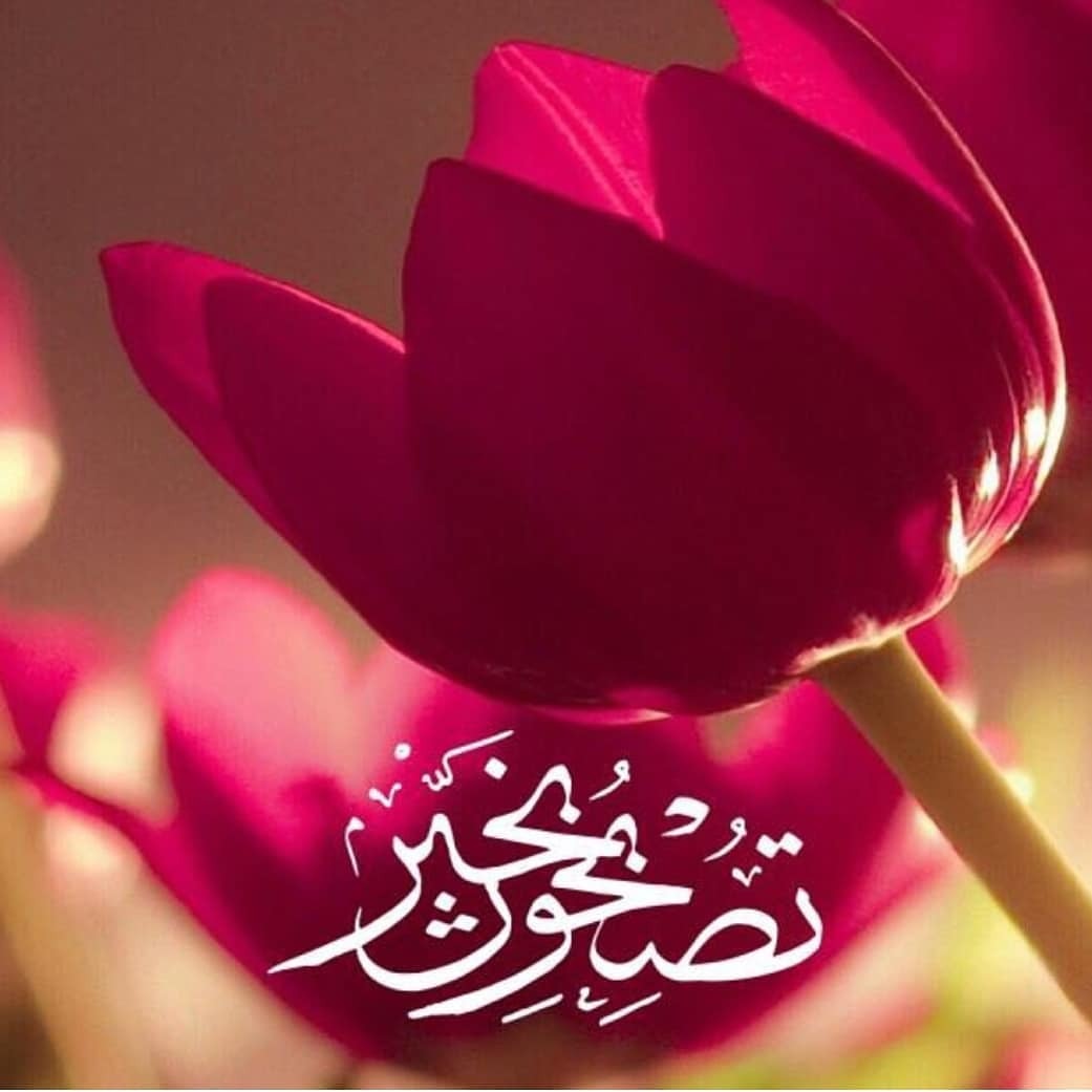 برودكاست تصبحون على خير - ارق البرودكاست قبل النوم 6340 8