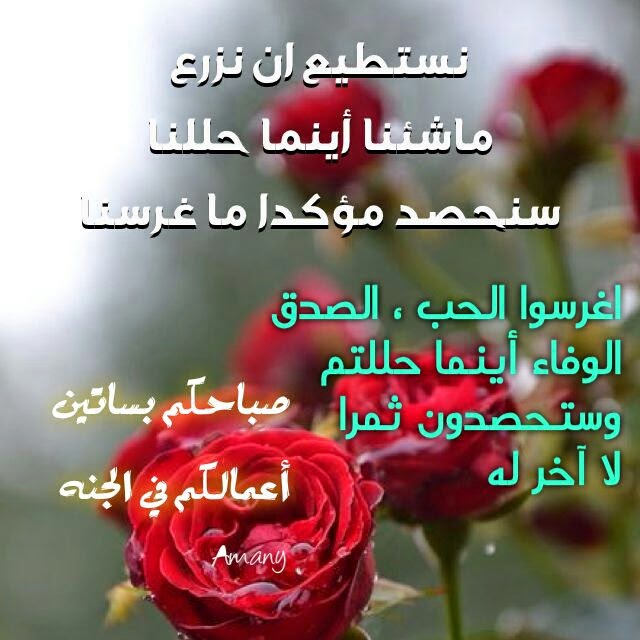 كلمات الصباح للحبيب - رسائل صباحيه 3325 3