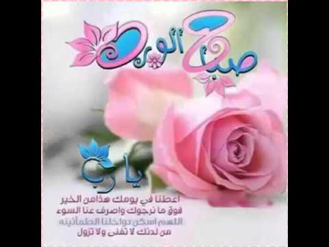 صور صباح الورد - الورد وجمالة من احلى شىء 3831 6