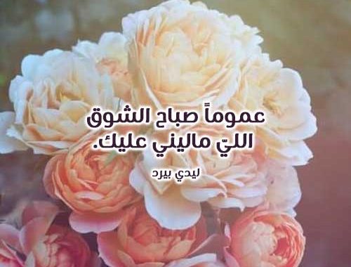 رسائل صباح الحب والشوق , مسدجات صباحية عن الحب