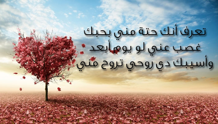 مسجات احبك - رسايل حب 3253 5