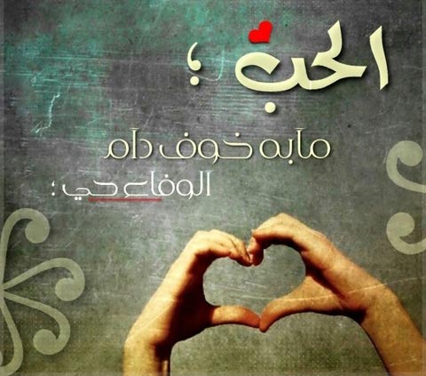 حالات للواتس اب جديده - حالات واتس اب جديده ومميزه 3018 6