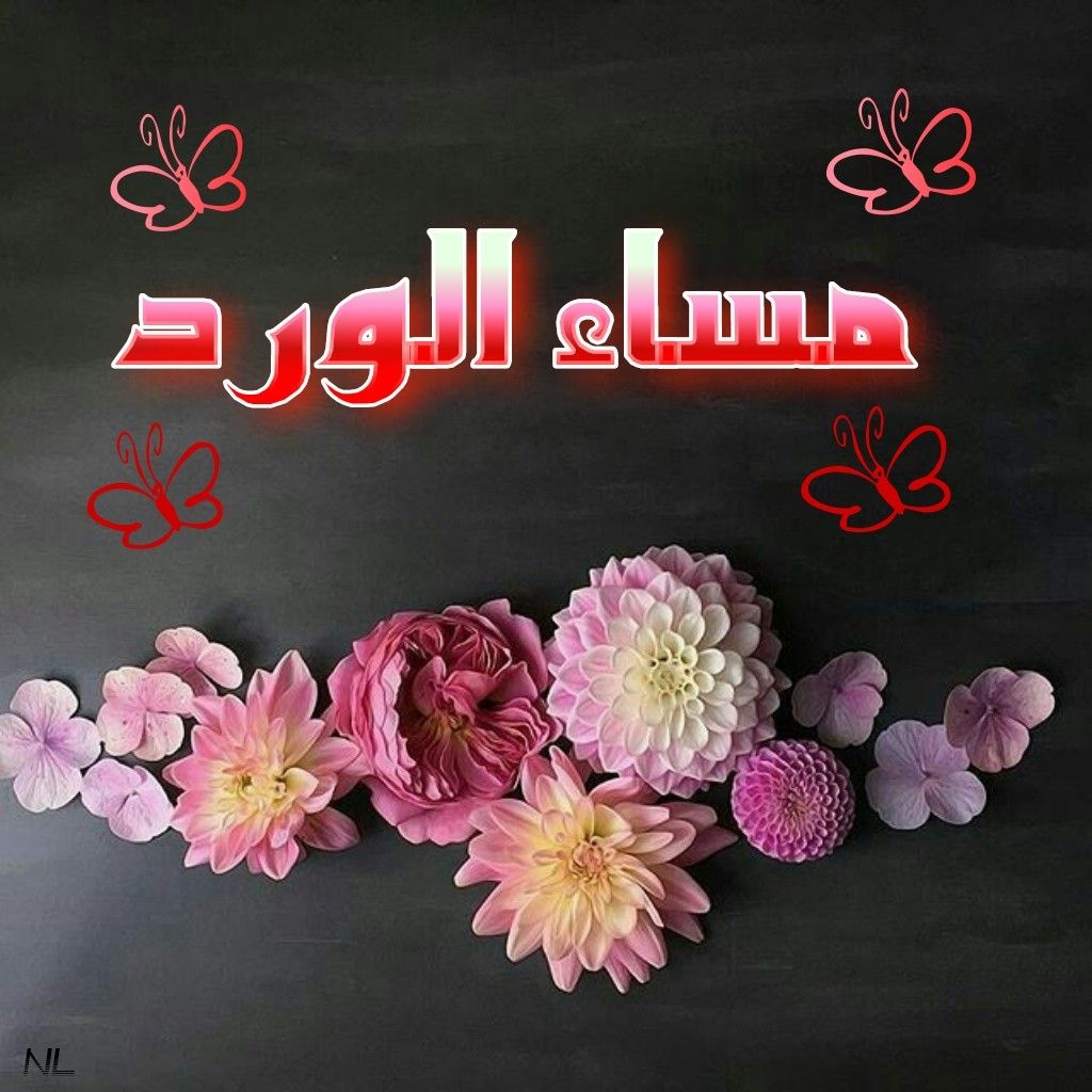 مساء نور حبيبي 11875 7