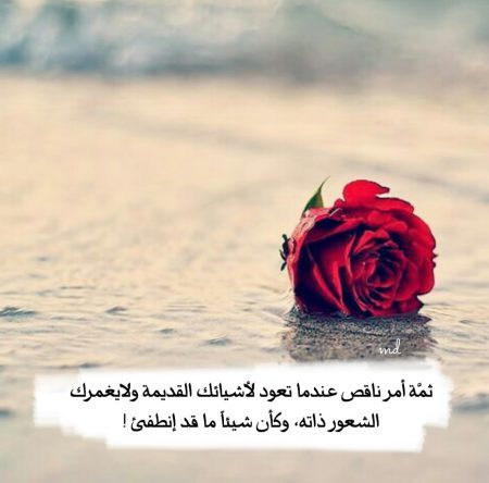 صور ورد رمزيات ، اجمل صور ورود 15672 3