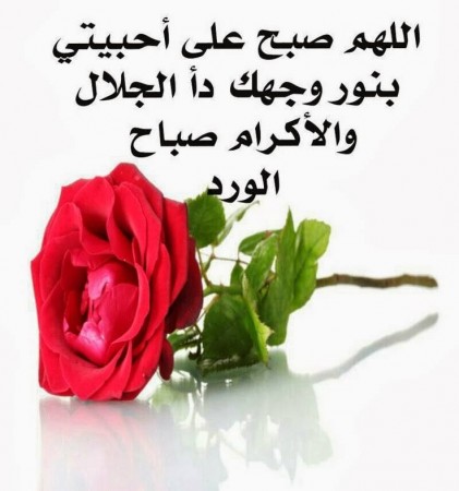 صور للصباح 1469 1